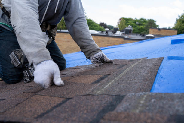 Best Roof Gutter Cleaning  in Olcott, NY