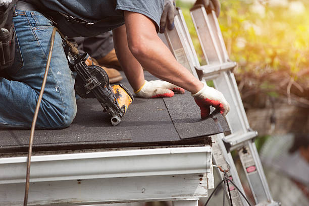 Best Shingle Roofing Installation  in Olcott, NY
