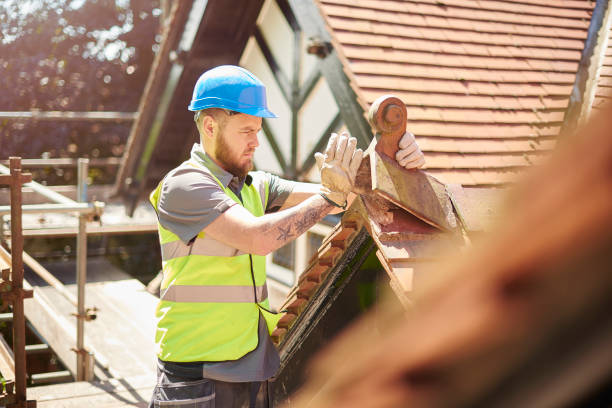 Best Sealant for Roof  in Olcott, NY