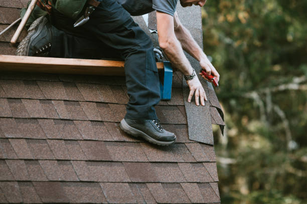 Best Metal Roofing Contractor  in Olcott, NY